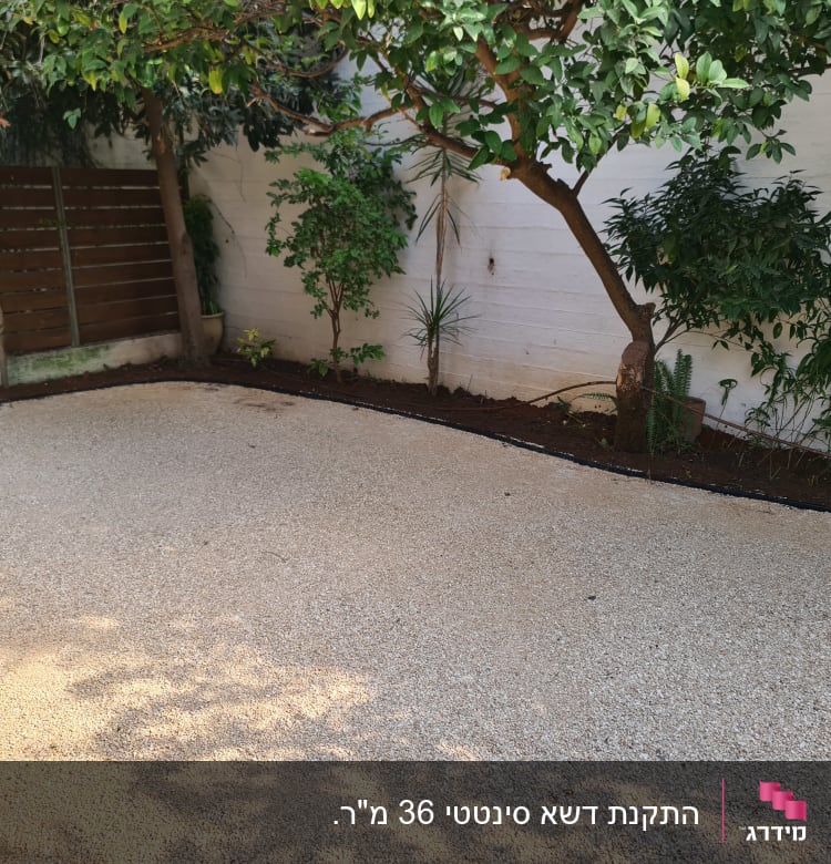 עצים ושיחים בגינה עם שביל חצץ